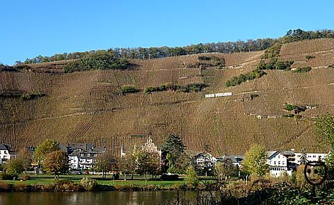 2021 Ürziger Würzgarten Riesling Sekt Brut